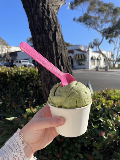 A look at Chantilly Ice Cream, photo 5